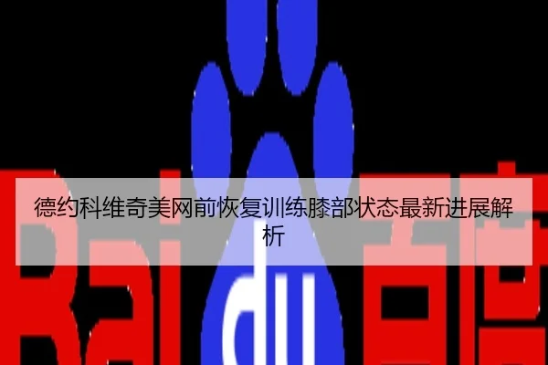 德约科维奇美网前恢复训练膝部状态最新进展解析